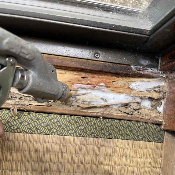 【横浜市】障子の枠がボロボロ…犯人は「シロアリ」でした！