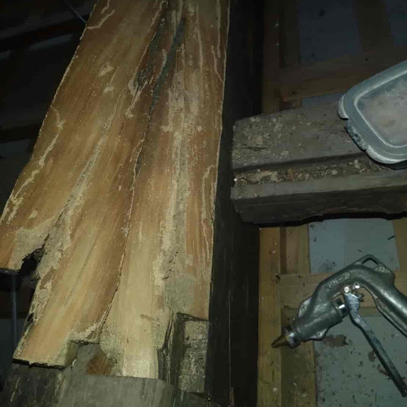 【熊本県人吉市】シロアリは床下だけじゃない！屋根裏の梁までボロボロに…