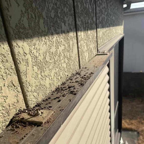 【徳島県小松島市】室外機周りの謎のフン…犯人はコウモリでした！