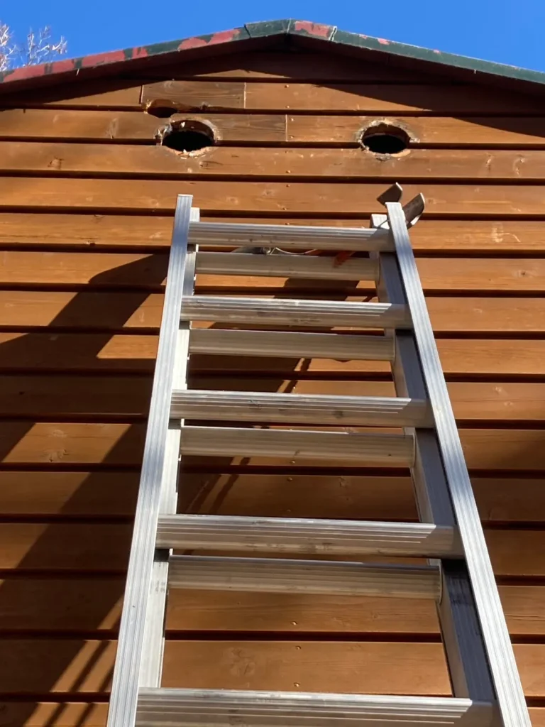 キツツキ穴の封鎖・巣の撤去・屋根裏消毒工事