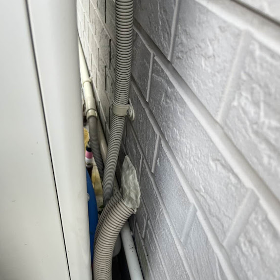 【徳島県吉野川市】部屋のネズミ被害、徹底駆除で安心を！