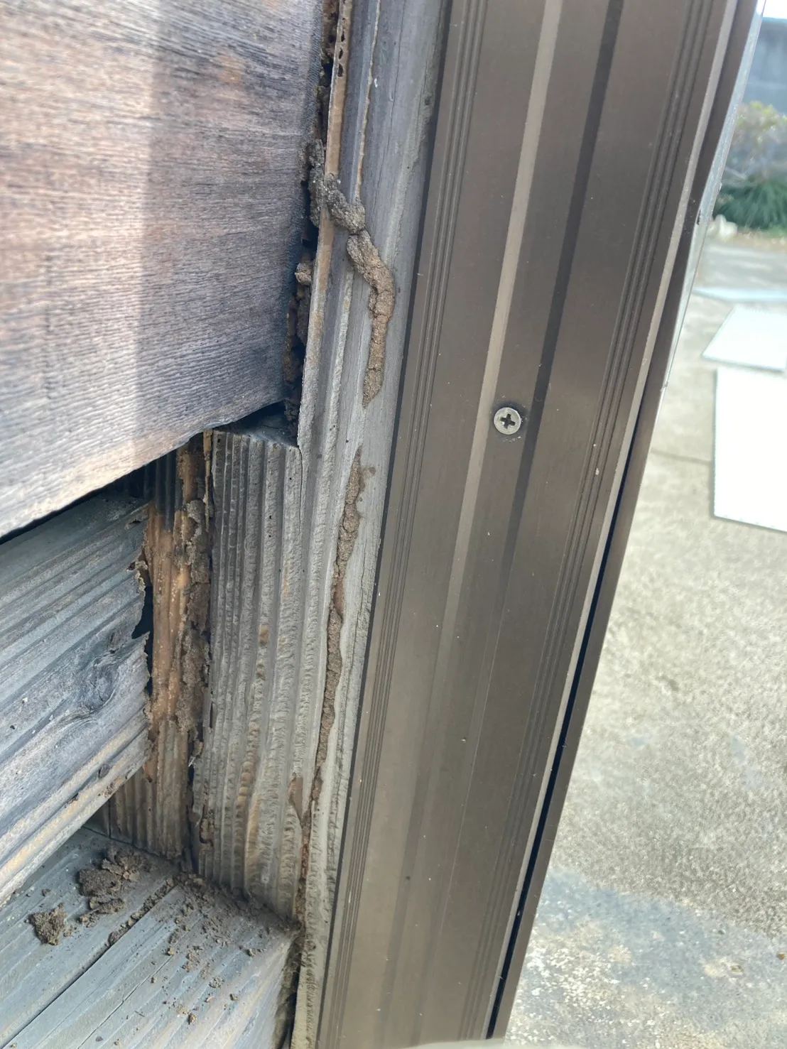 【施工事例】玄関付近の蟻道からシロアリ被害を確認｜薬剤処理による駆除と予防対策を実施