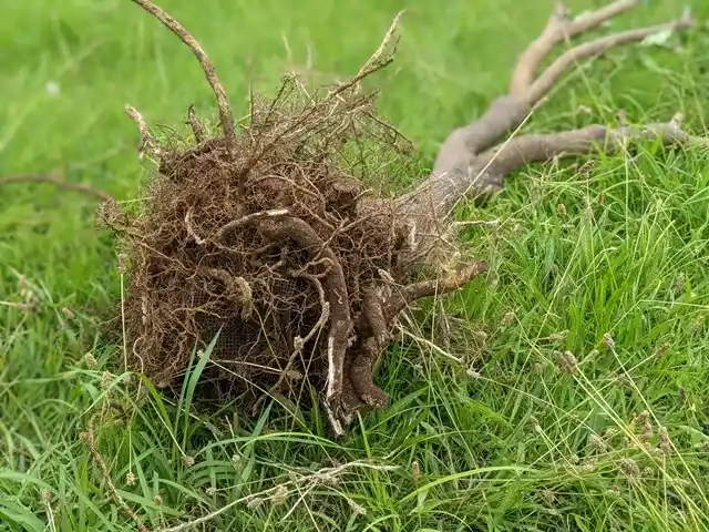 便利屋 困りごと解決本舗