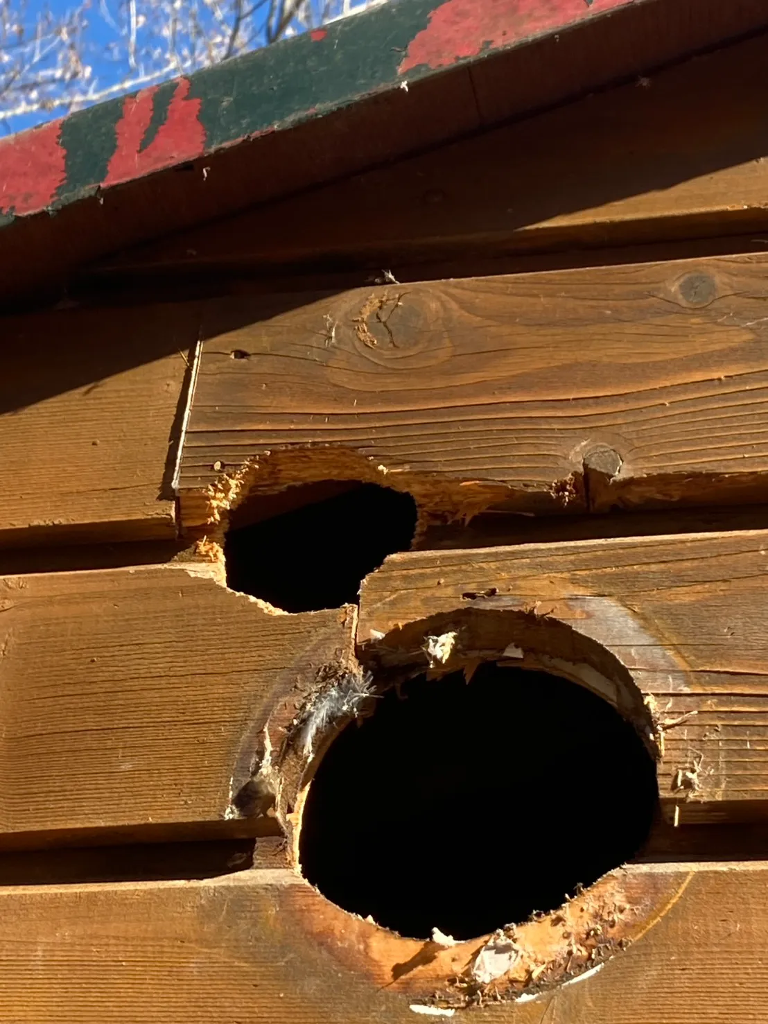 mk駆除サービス