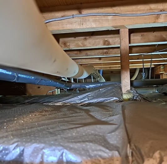 mk駆除サービス