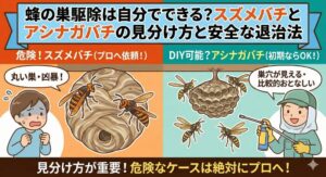 蜂の巣駆除は自分でできる？スズメバチとアシナガバチの見分け方と安全な退治法