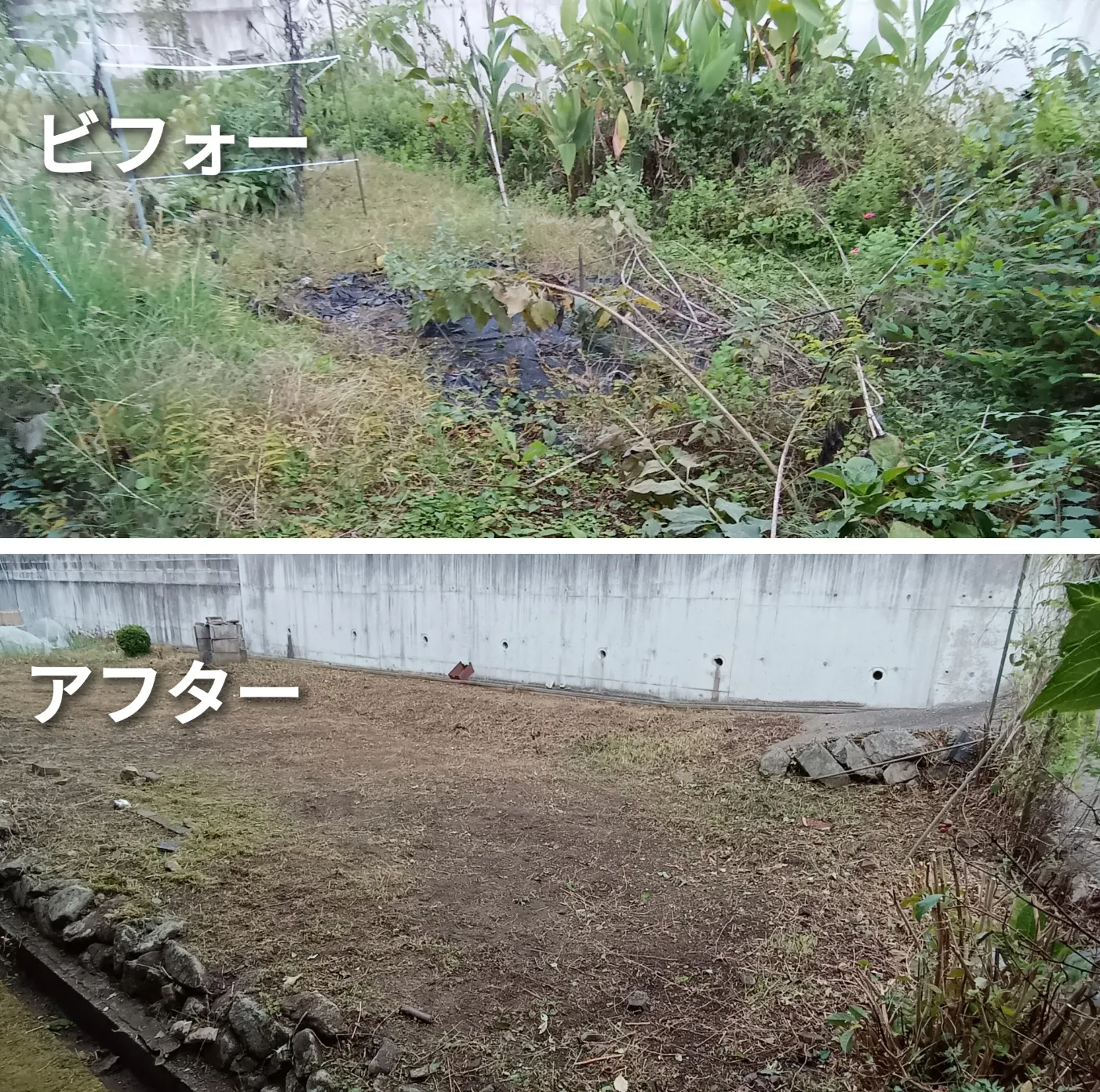 便利屋クリーンアップ深川店