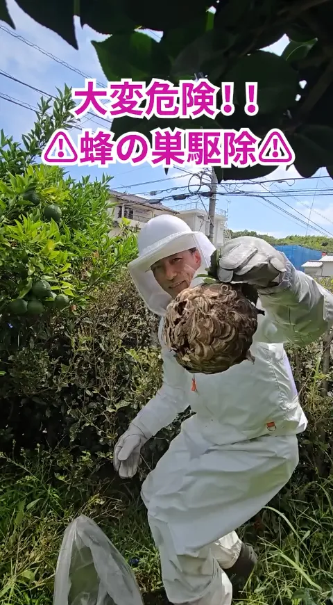 便利屋クリーンアップ